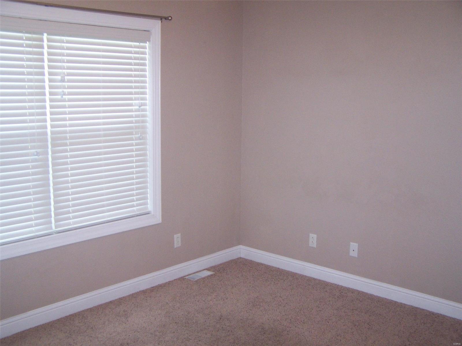 22 Pheasant Ridge Court Nashville, IL 62263 - Photo 38 of 52 Gallery Image 38