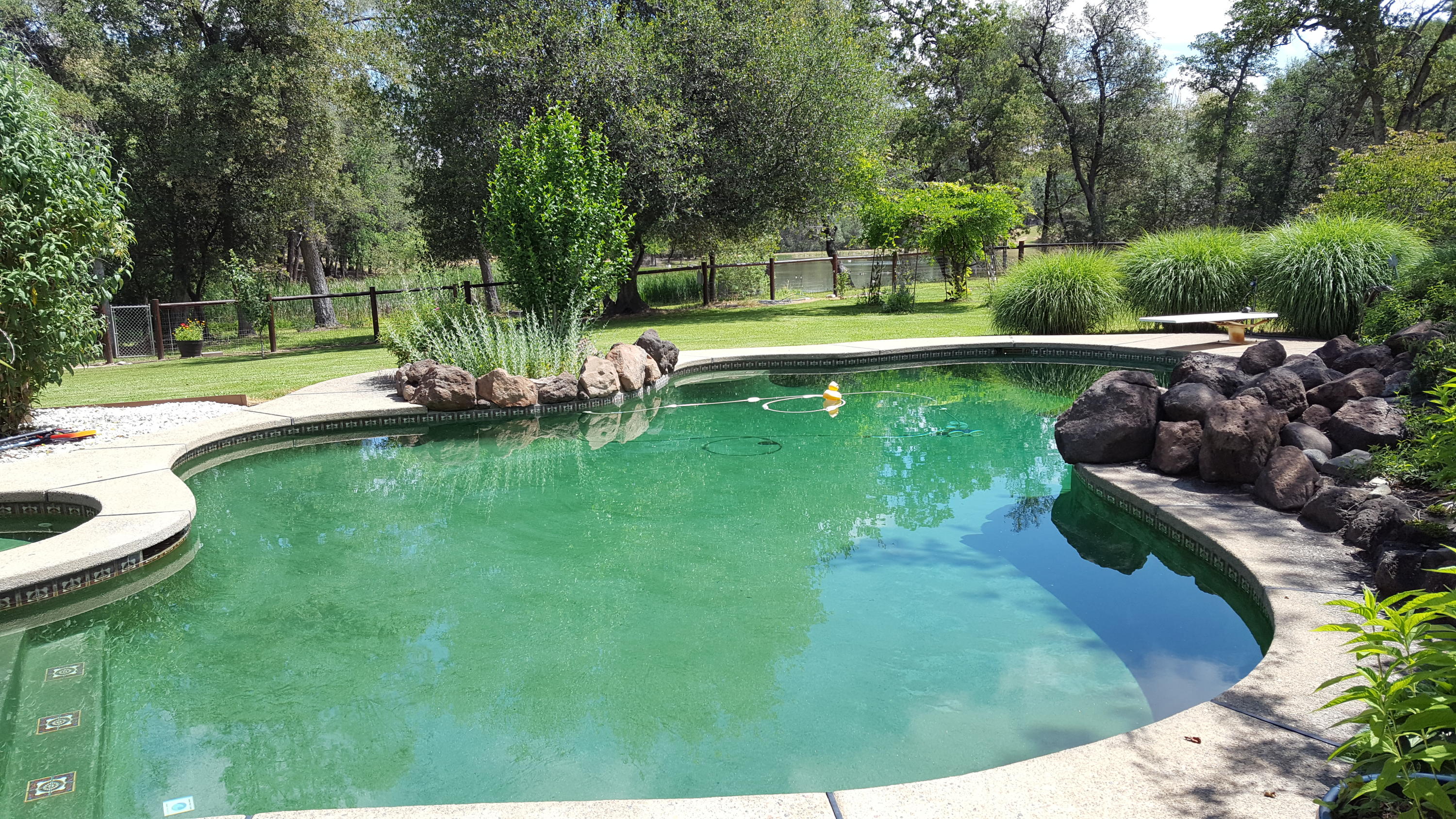 13148 South Fork Road Igo, CA 96047 - Photo 36 of 50 GORGEOUS POOL