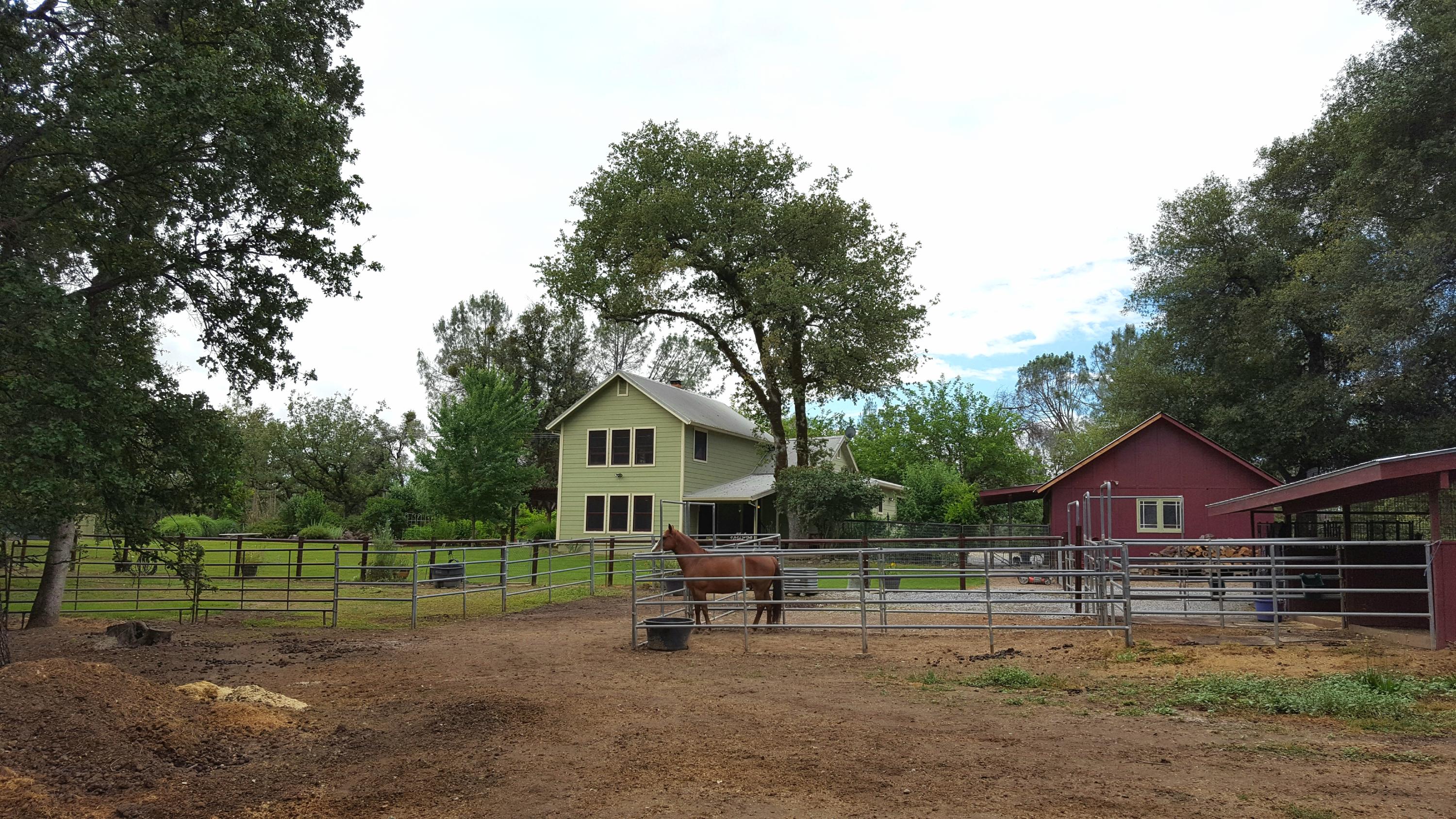 13148 South Fork Road Igo, CA 96047 - Photo 38 of 50 HOME-LEAN-TO AND HORSE PADDOCKS AREA