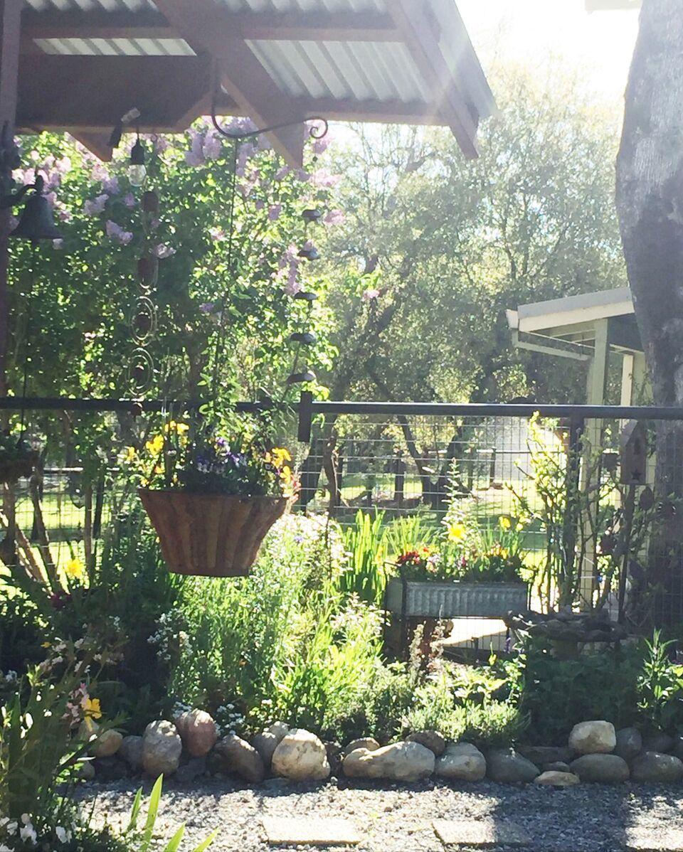 13148 South Fork Road Igo, CA 96047 - Photo 43 of 50 FLOWER GARDEN