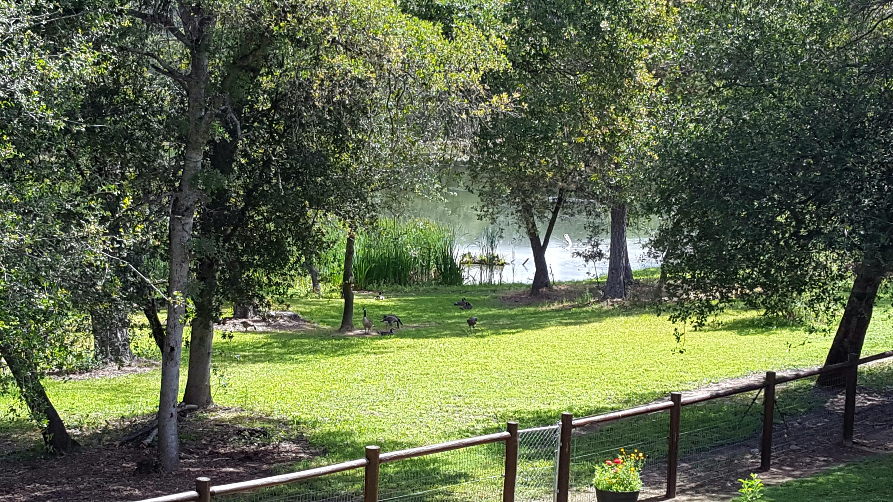 13148 South Fork Road Igo, CA 96047 - Photo 47 of 50 MASTER BEDROOM VIEW OF THE POND