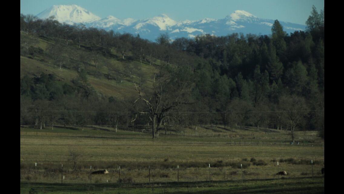 13148 South Fork Road Igo, CA 96047 - Photo 50 of 50 MOUNTAIN VIEW FROM S FORK RD NEAR HOME