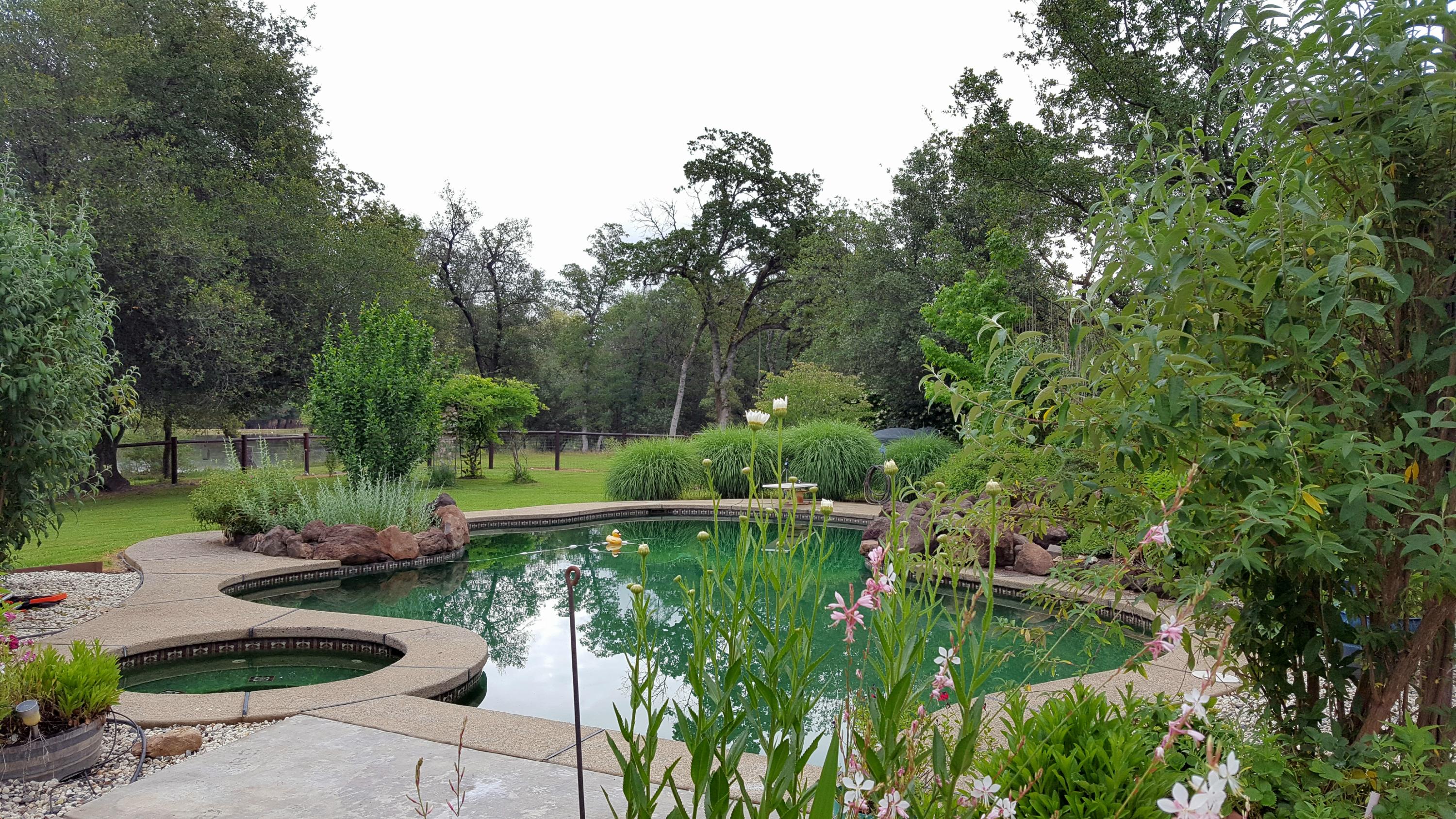 13148 South Fork Road Igo, CA 96047 - Photo 7 of 50 LARGE STYLISH POOL