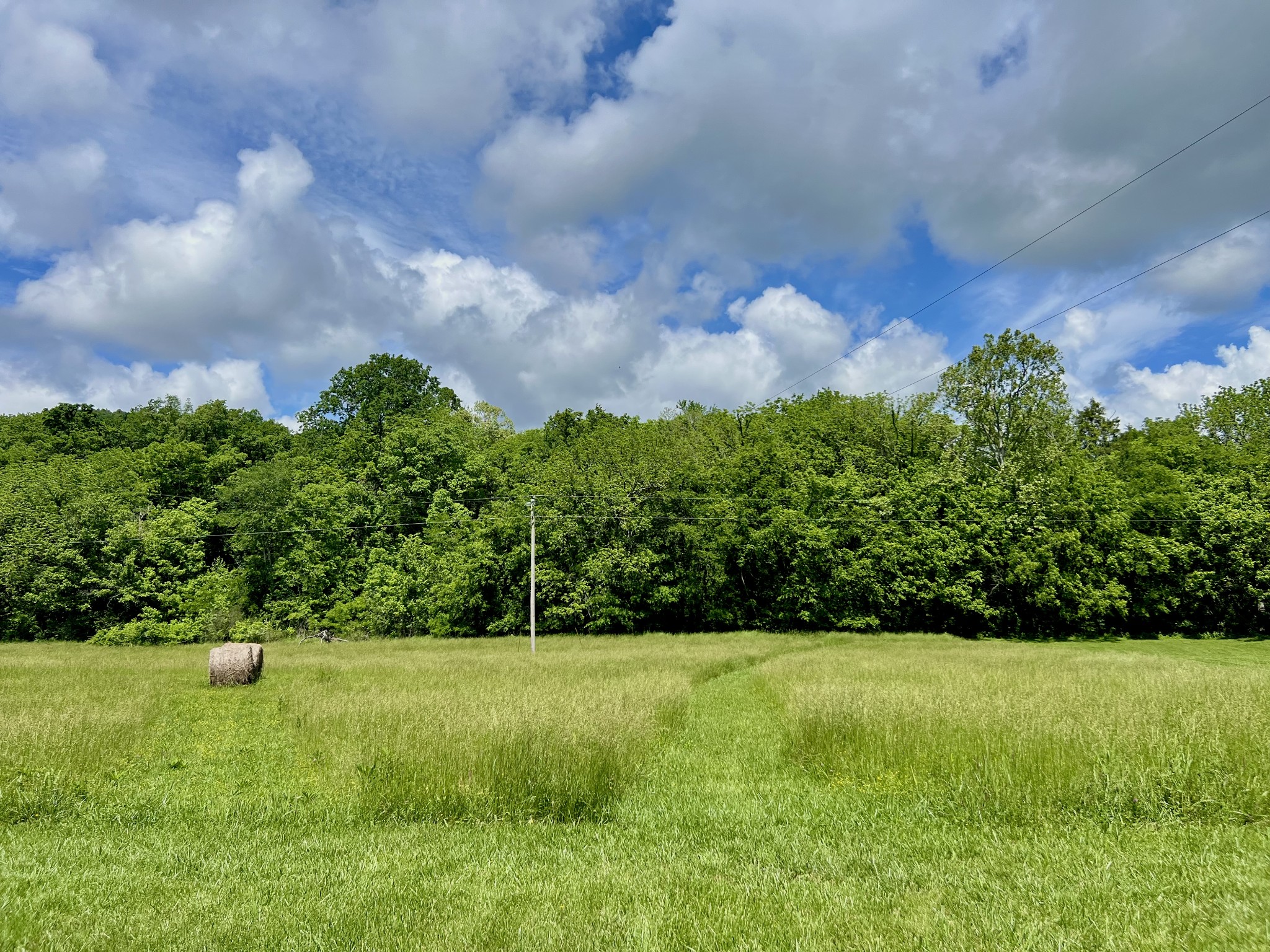 2805 Springplace Road Belfast, TN 37019 - Photo 17 of 22