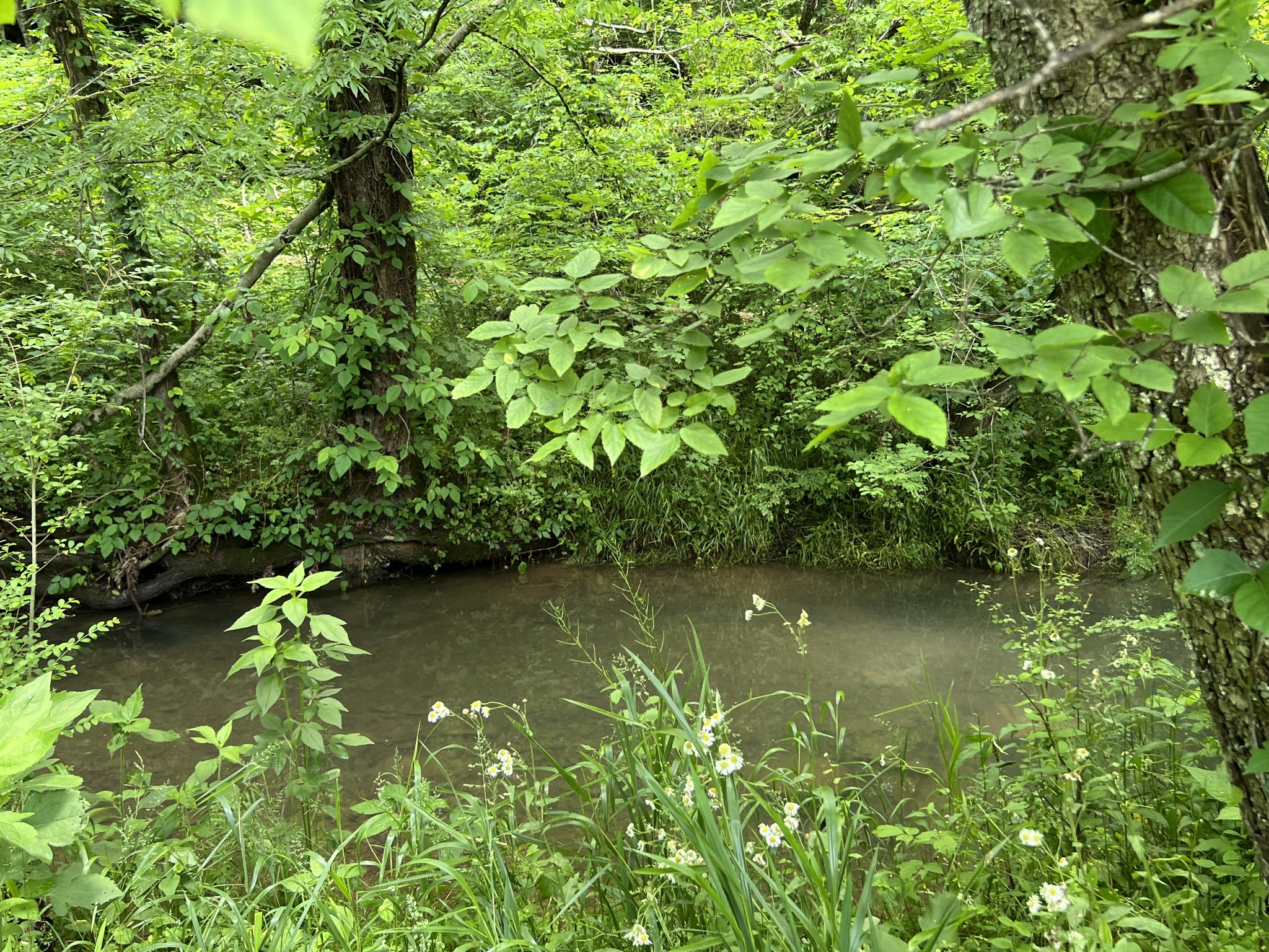 2805 Springplace Road Belfast, TN 37019 - Photo 18 of 22