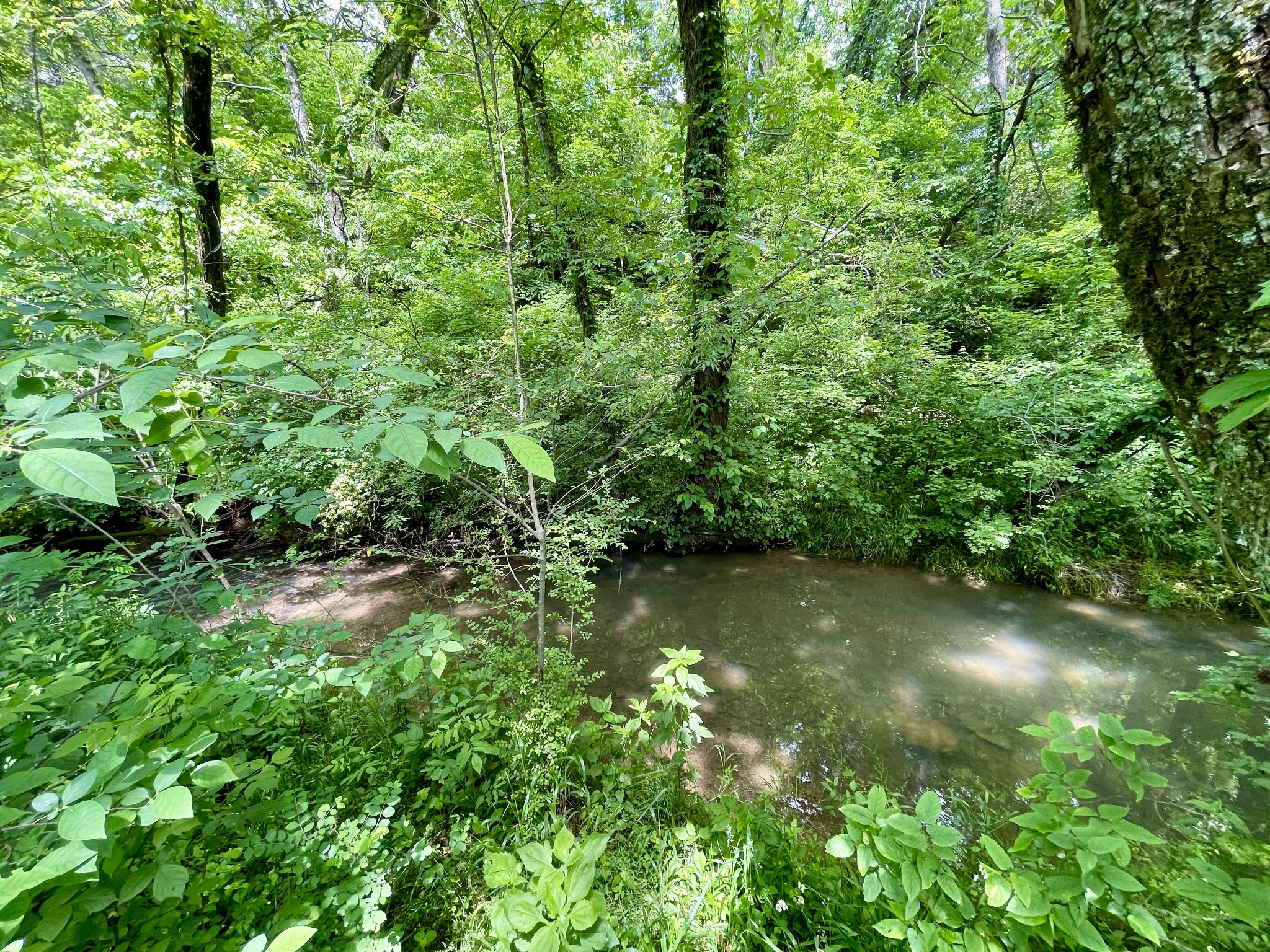 2805 Springplace Road Belfast, TN 37019 - Photo 19 of 22