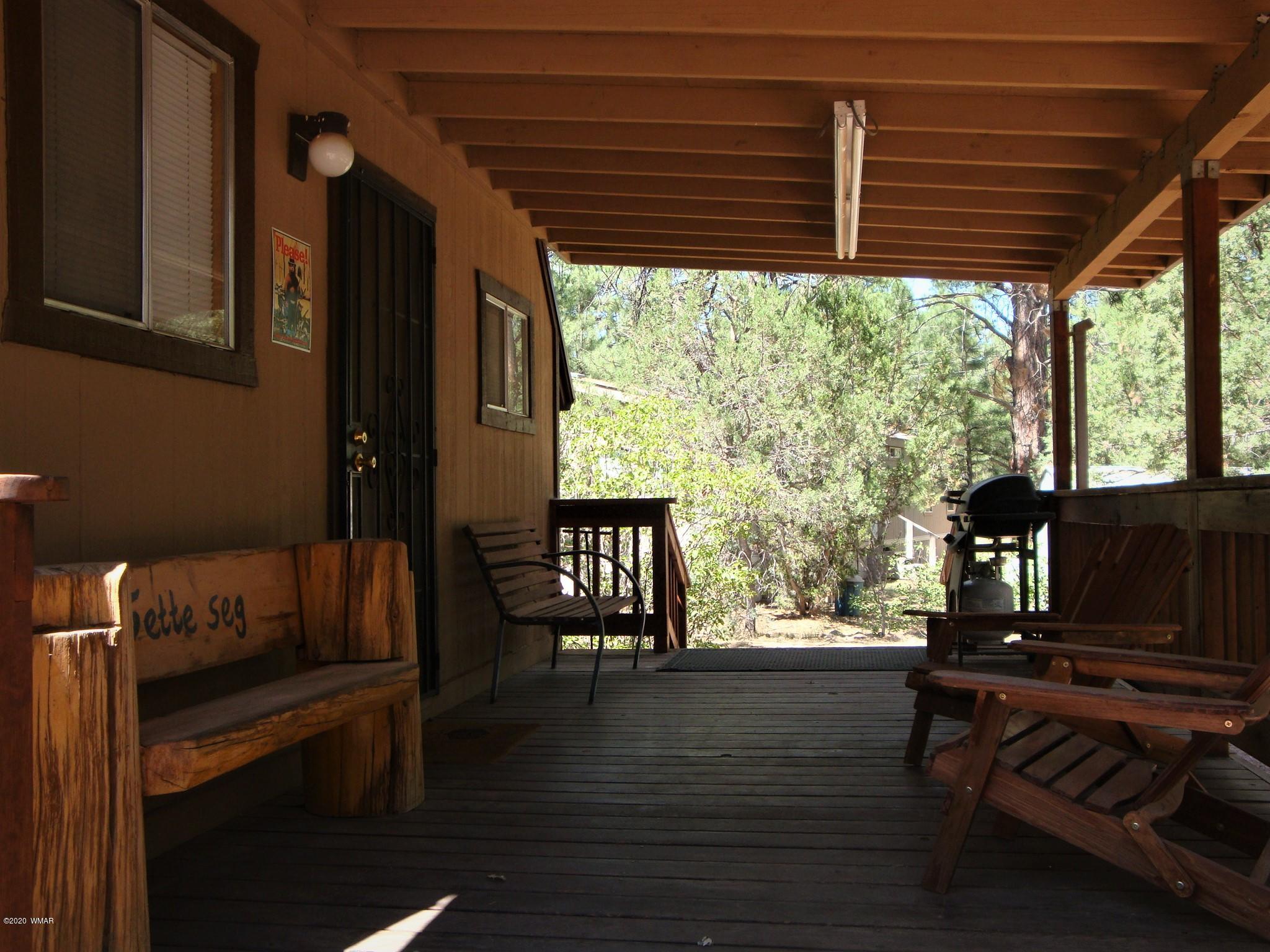2002 Penrod Road Overgaard, AZ 85933 - Photo 10 of 20