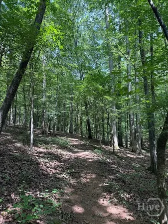$285,000 | 265 Center Park Lane, Athens, GA 30605