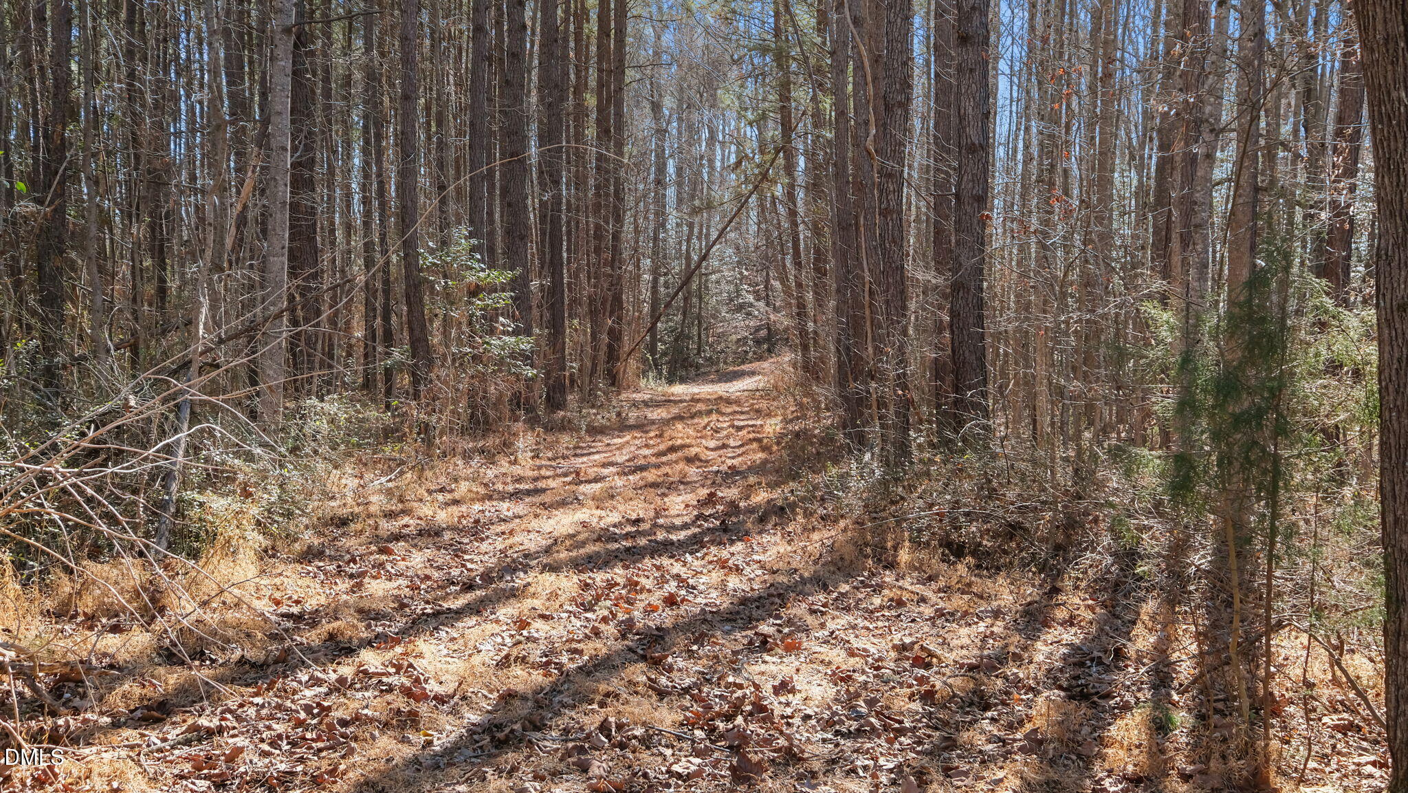 147 Charles Brown Road Warrenton, NC 27589 - Photo 4 of 18 a view of wooden fence