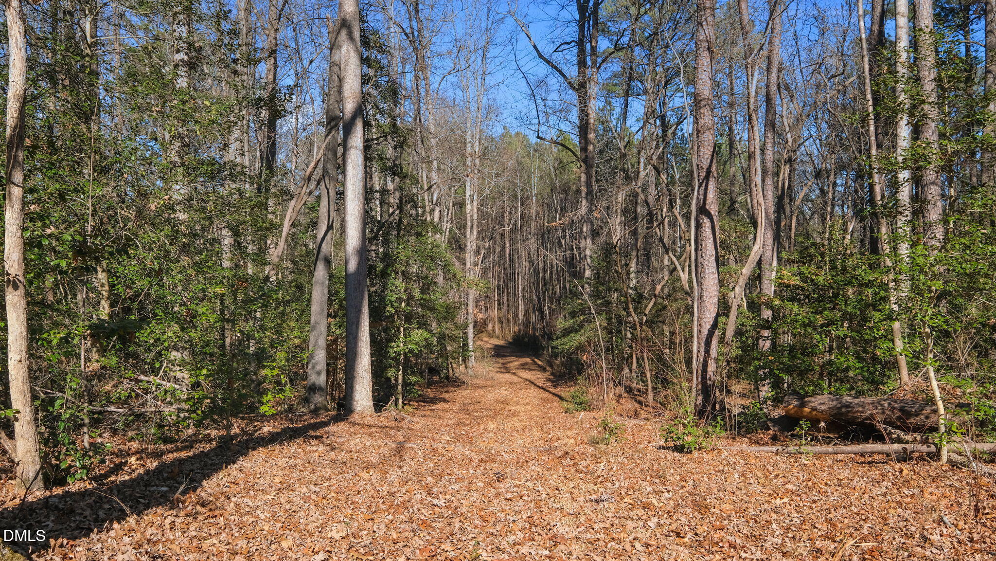 147 Charles Brown Road Warrenton, NC 27589 - Photo 5 of 18 a backyard of a house with lots of green space