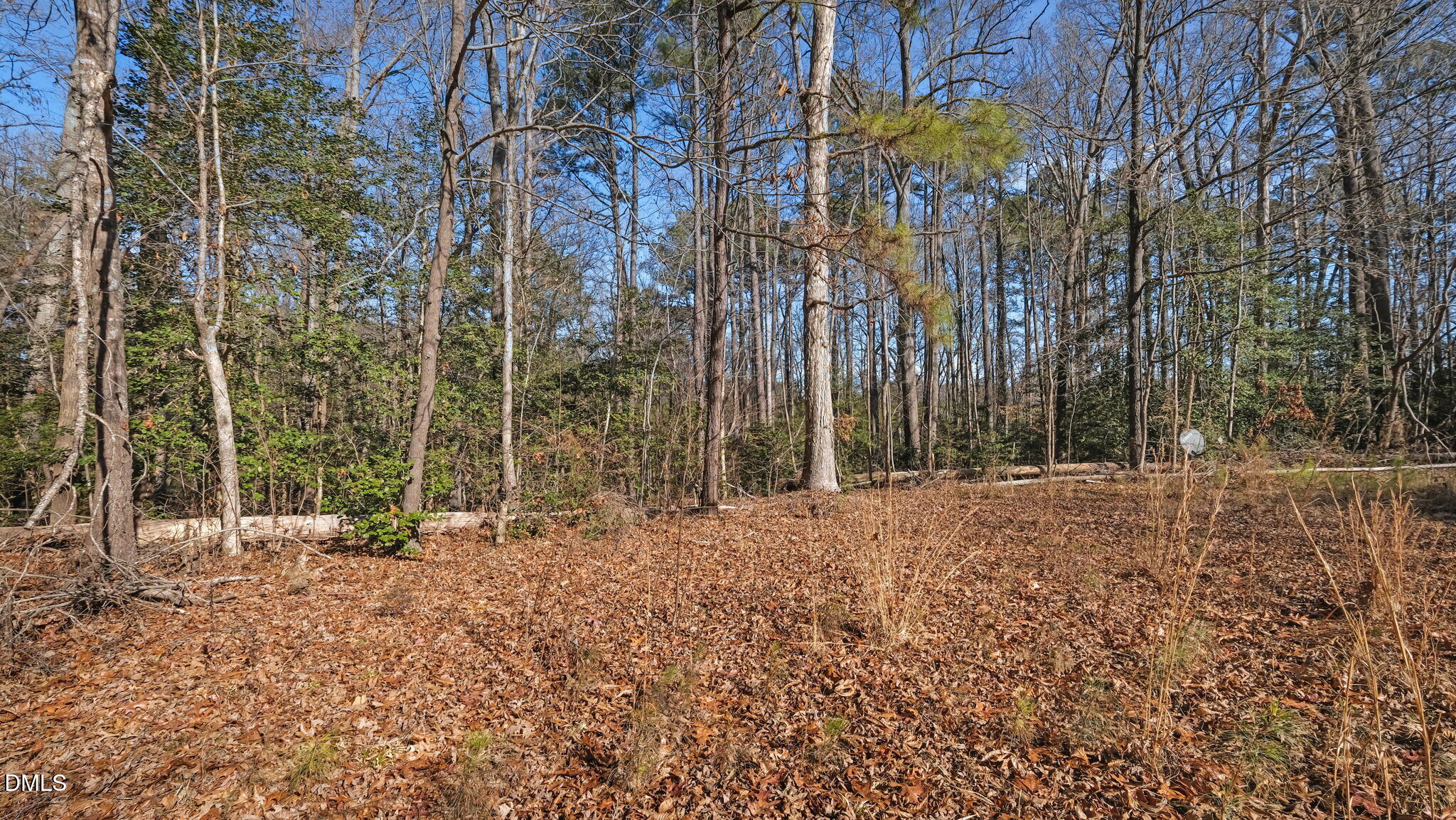 147 Charles Brown Road Warrenton, NC 27589 - Photo 6 of 18 a view of outdoor space with trees