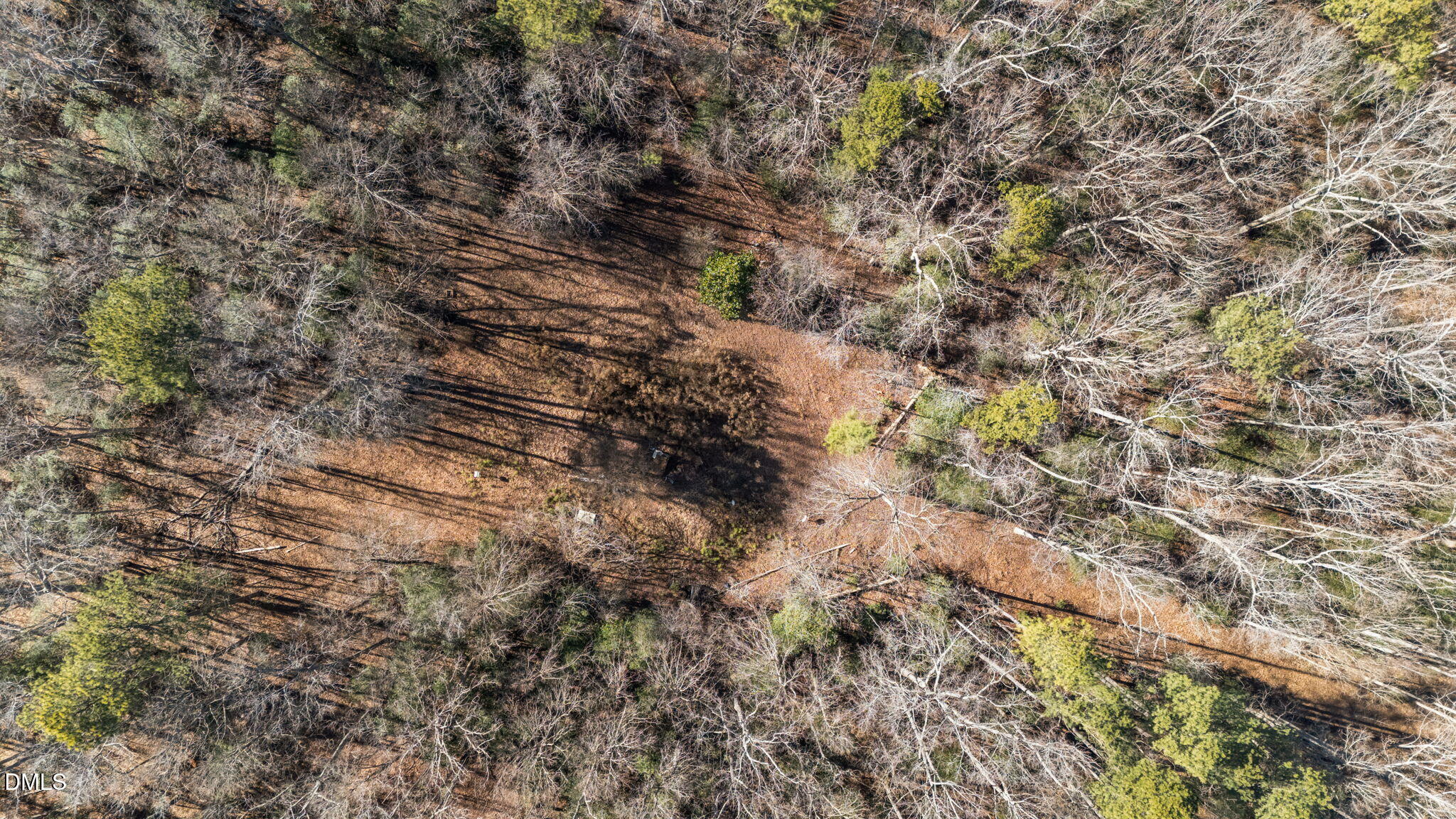 147 Charles Brown Road Warrenton, NC 27589 - Photo 7 of 18