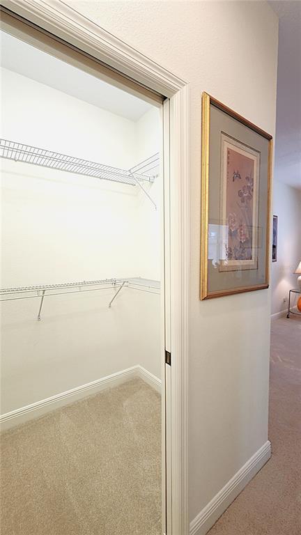 1636 West Caroline Path Lecanto, FL 34461 - Photo 60 of 85