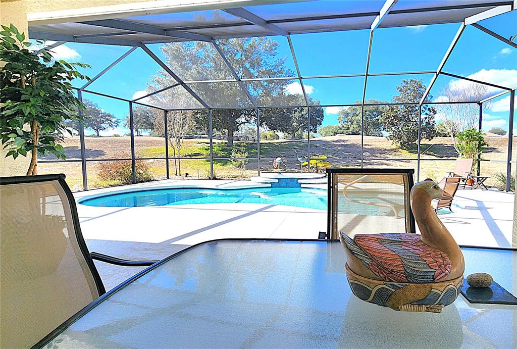 1636 West Caroline Path Lecanto, FL 34461 - Photo 68 of 85 a view of a swimming pool with a patio