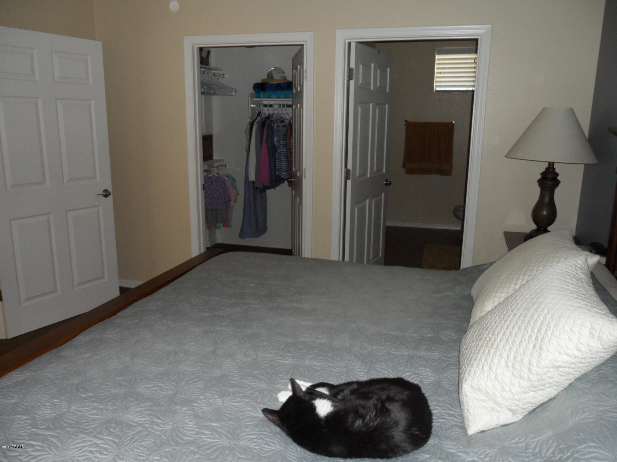 3330 South Gilbert Road, Unit 1015 Chandler, AZ 85286 - Photo 9 of 30 a bedroom with a bed and a lamp