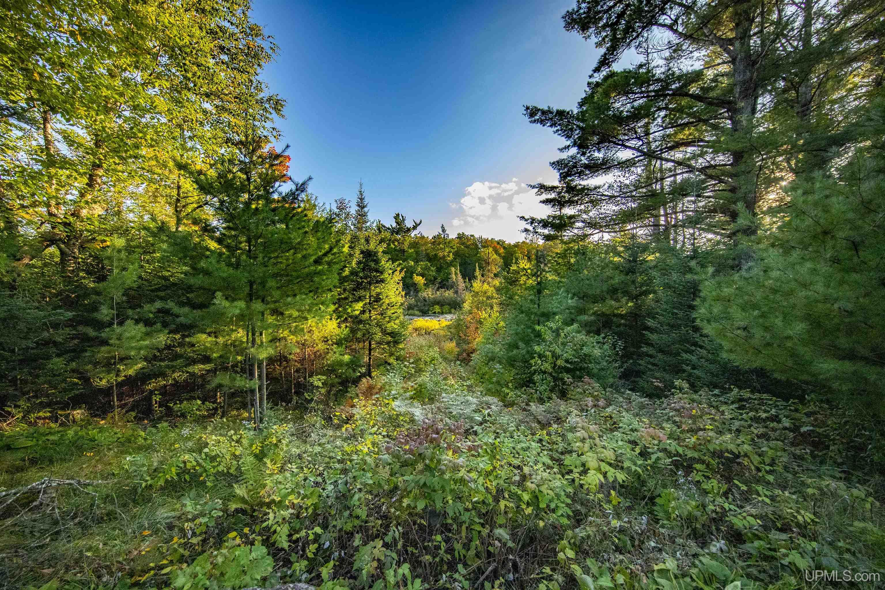 Tbd Luke Road Amasa, MI 49903 - Photo 5 of 64
