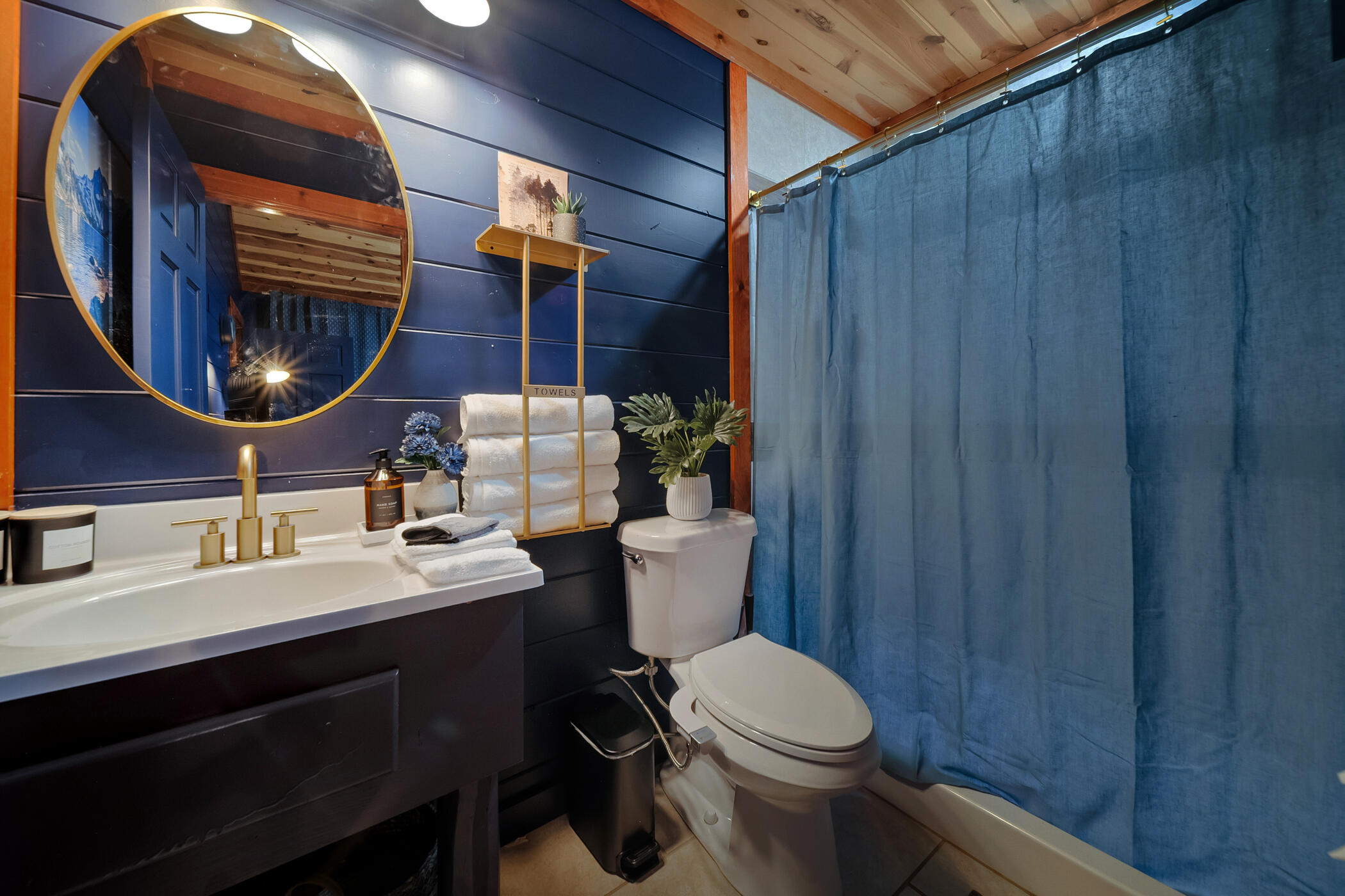 2513 Laurel Point Way Sevierville, TN 37862 - Photo 36 of 81 Blue Smoke En-suite bath