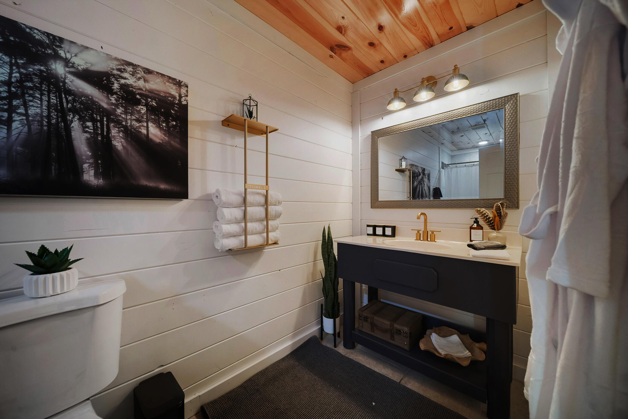 2513 Laurel Point Way Sevierville, TN 37862 - Photo 41 of 81 Ober En-Suite Bath