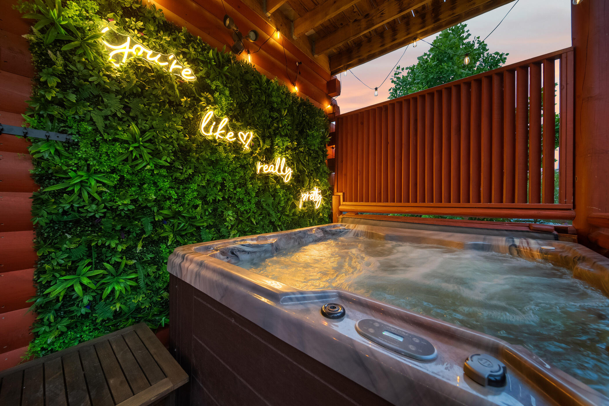 2513 Laurel Point Way Sevierville, TN 37862 - Photo 60 of 81 Hot Tub & Selfie Wall