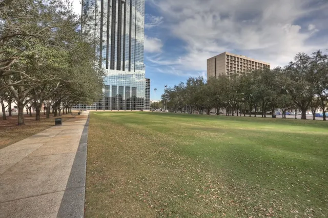 a view of a park that has a tree in it