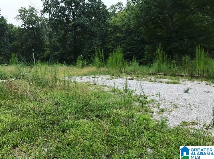1228 Kimberly Road, Unit 1 Piedmont, AL 36272 - Photo 2 of 4