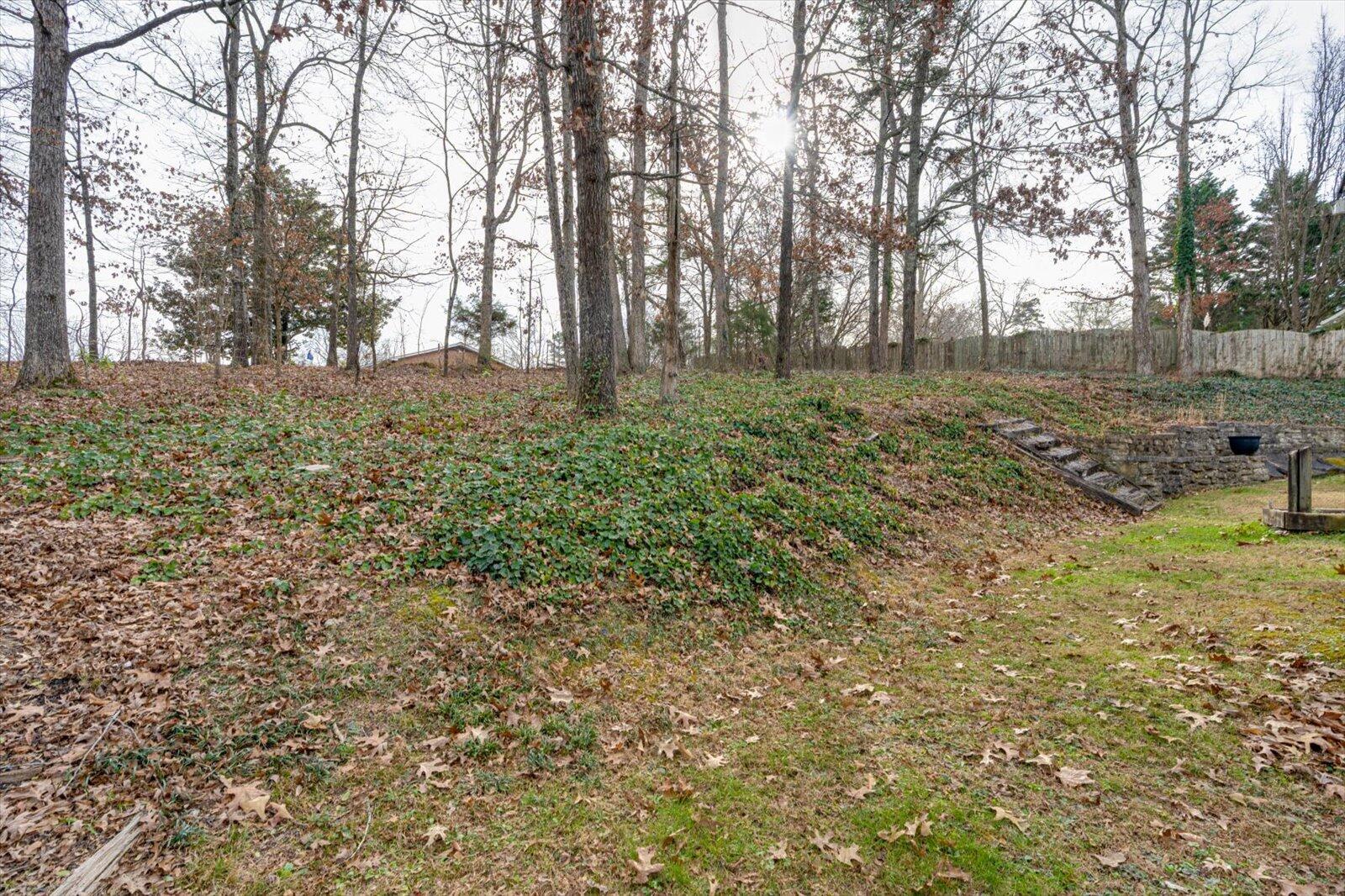 118 Dusty Ridge Trail Ringgold, GA 30736 - Photo 43 of 44 43-118 Dusty Ridge Trail-43