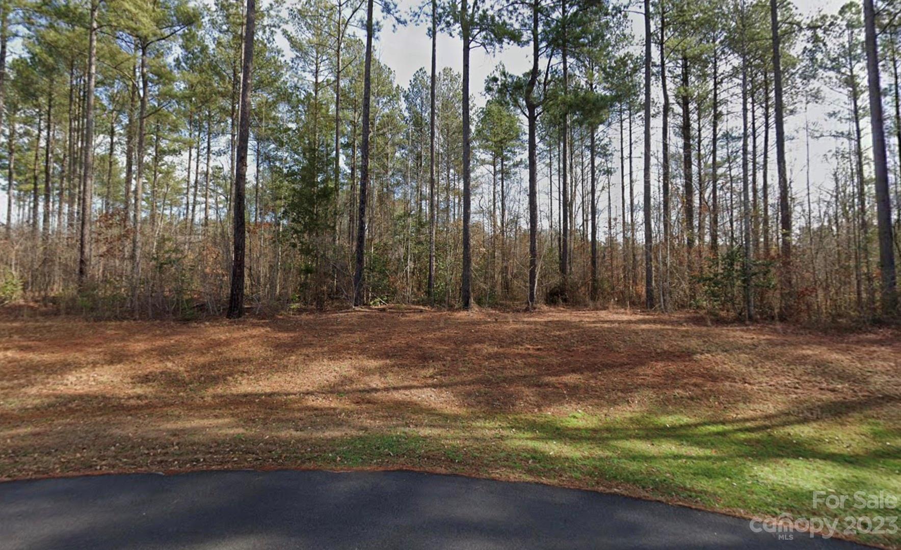 616 Top Ridge Lane Clover, SC 29710 - Photo 2 of 8 Gallery Image 2