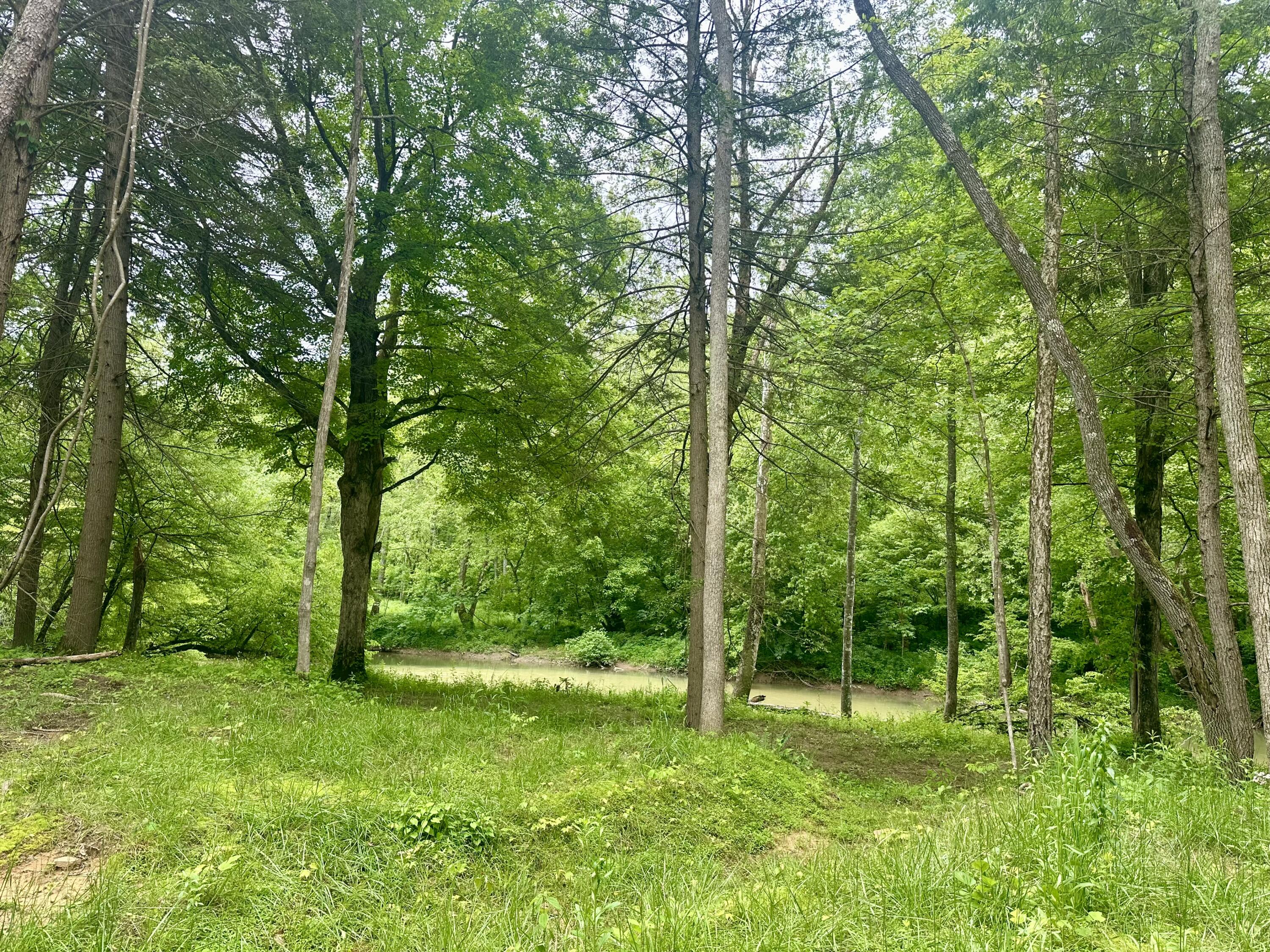 1815 Baldwin Road McKee, KY 40447 - Photo 2 of 68 IMG_0428