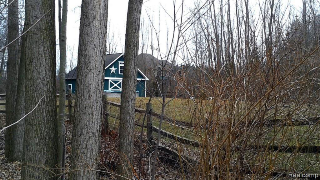 10390 Palmer Road Maybee, MI 48159 - Photo 13 of 39 backyard 2.jpg