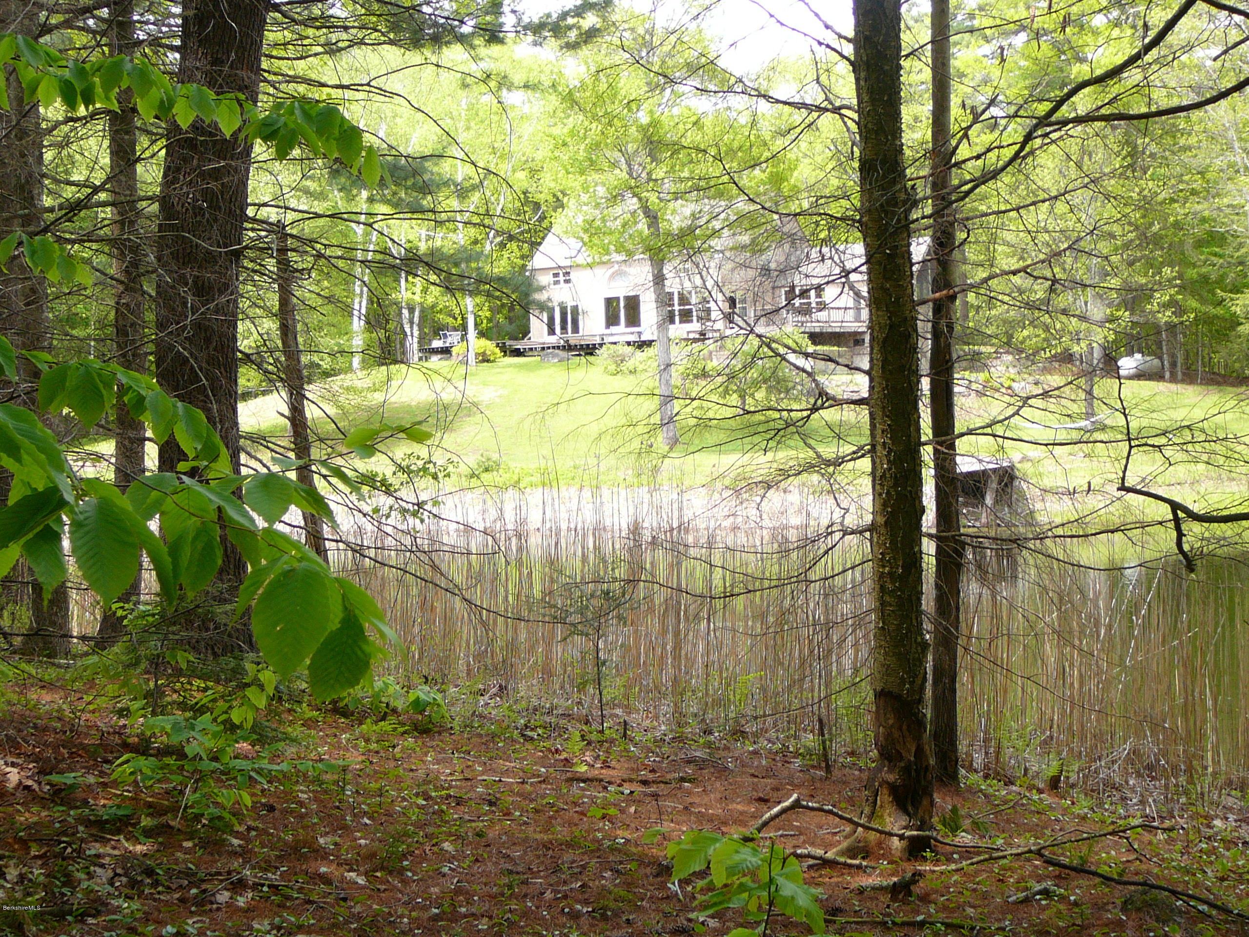 126 Tyringham Road Monterey, MA 01245 - Photo 13 of 35 a view of yard