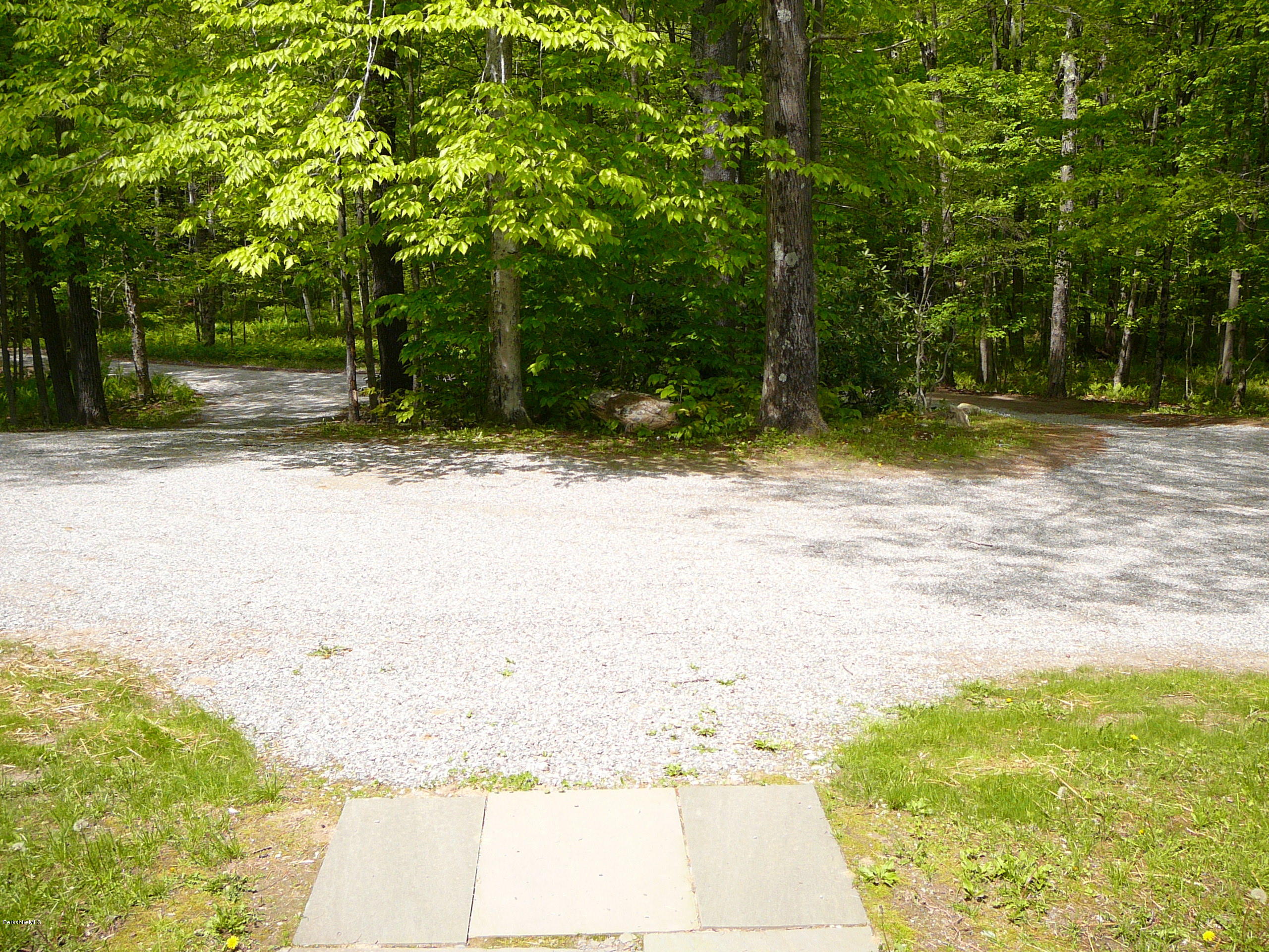 126 Tyringham Road Monterey, MA 01245 - Photo 35 of 35 a view of a yard with plants and trees