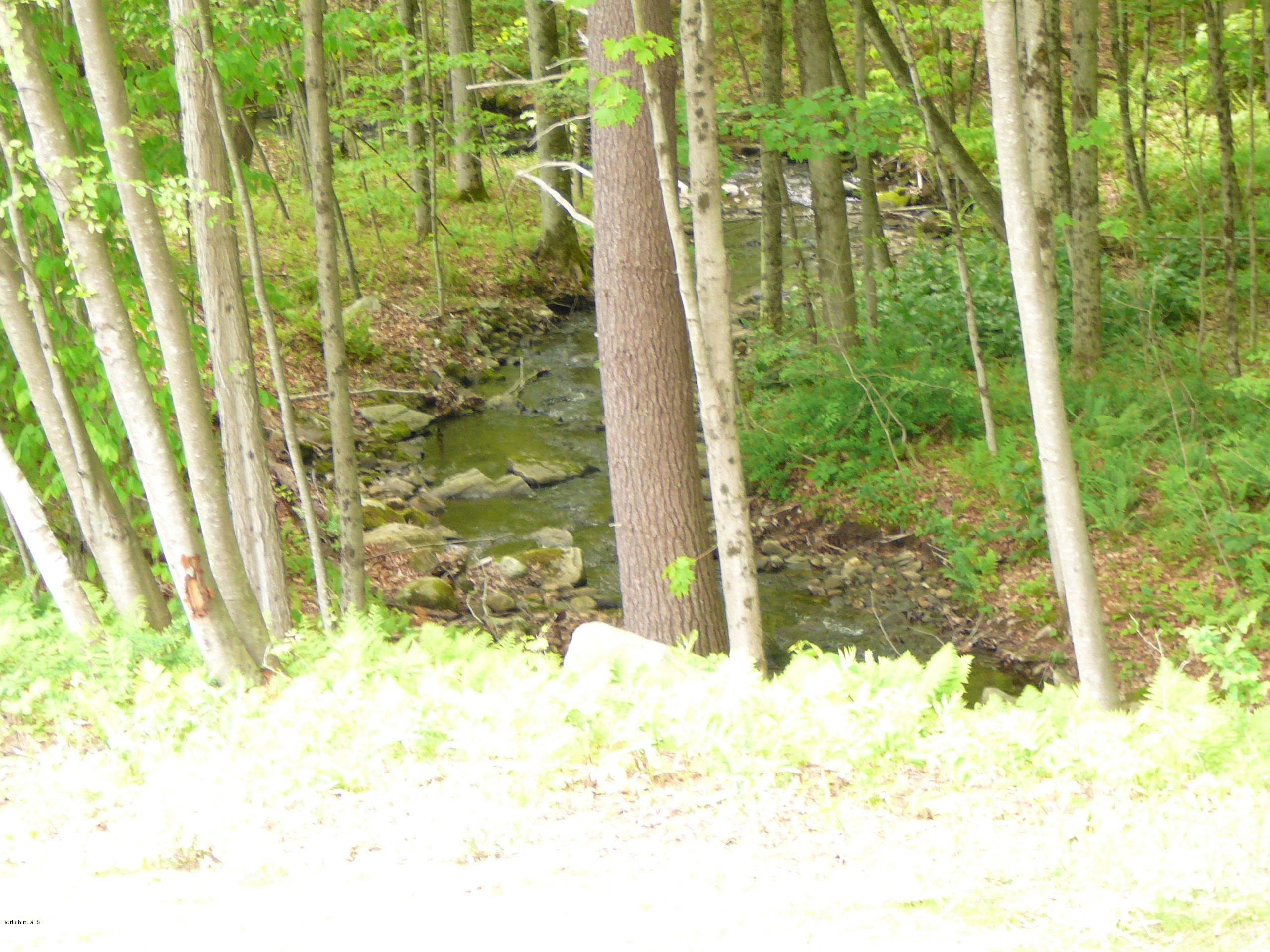 126 Tyringham Road Monterey, MA 01245 - Photo 9 of 35 a view of backyard of the house