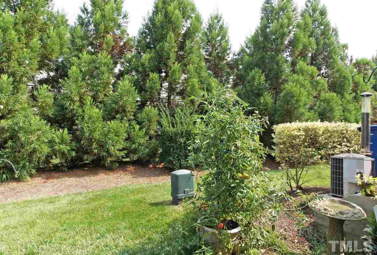 7822 Silverthread Lane Raleigh, NC 27617 - Photo 16 of 18 a view of a back yard