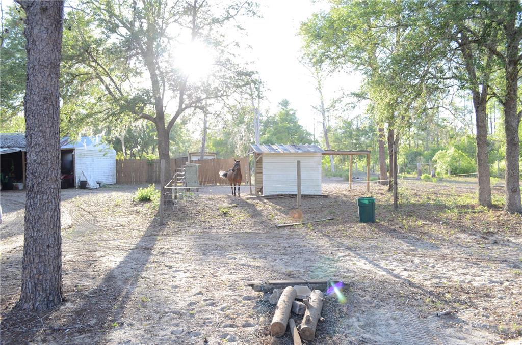 591 Fisher Road Ocklawaha, FL 32179 - Photo 12 of 24