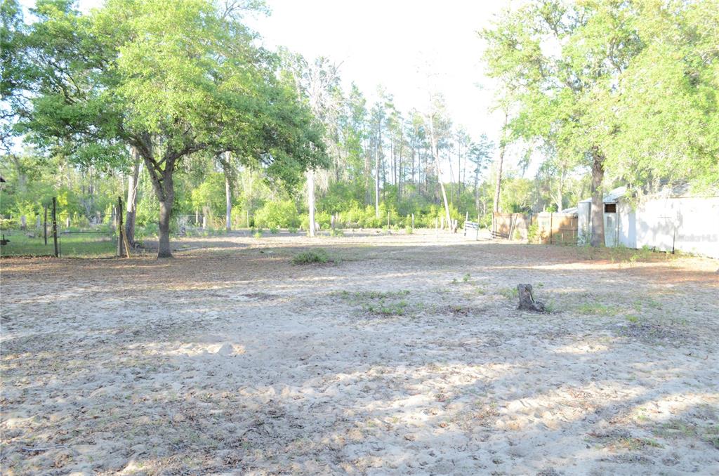 591 Fisher Road Ocklawaha, FL 32179 - Photo 5 of 24