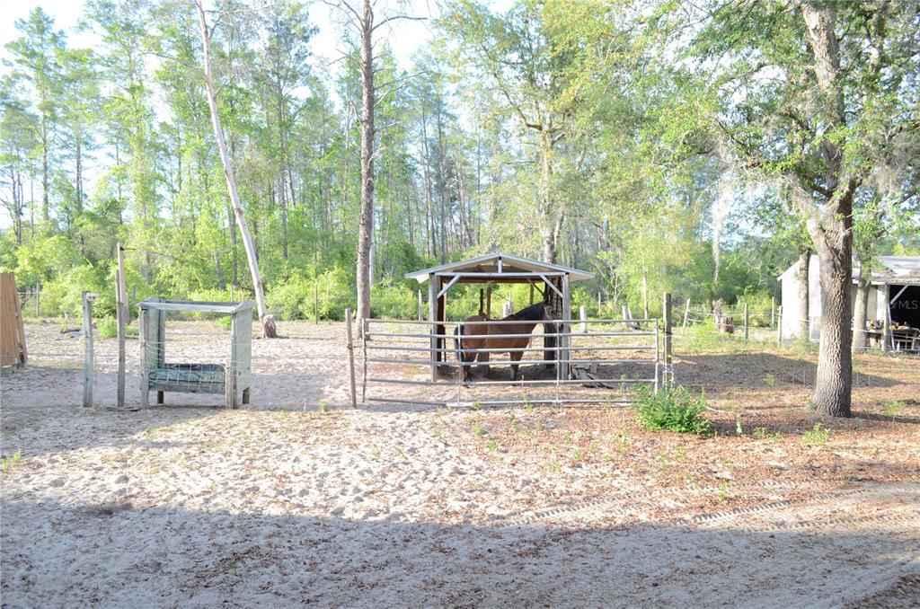 591 Fisher Road Ocklawaha, FL 32179 - Photo 9 of 24