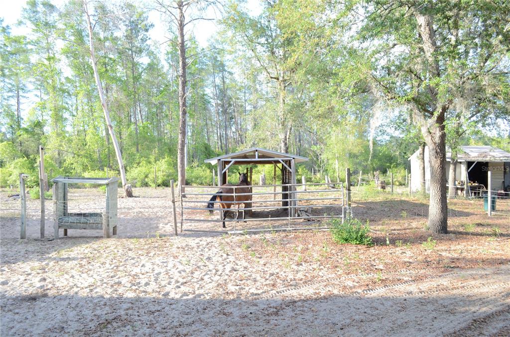 591 Fisher Road Ocklawaha, FL 32179 - Photo 10 of 24