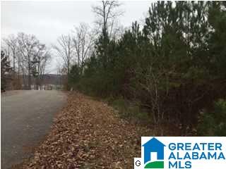 Laurelwood Road, Unit 6 Arley, AL 35541 - Photo 9 of 10