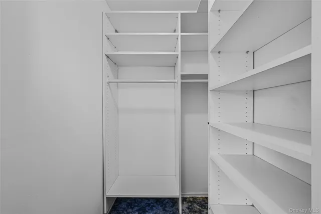 a view of an empty walk in closet