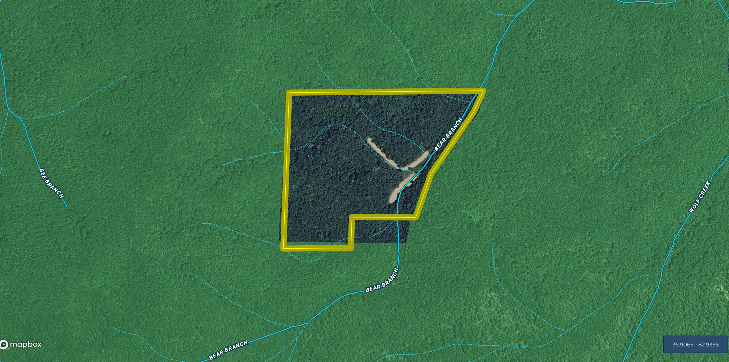 25-70 And Wolf Crk Road Del Rio, TN 37727 - Photo 2 of 20 Cocke 61 air pic 1