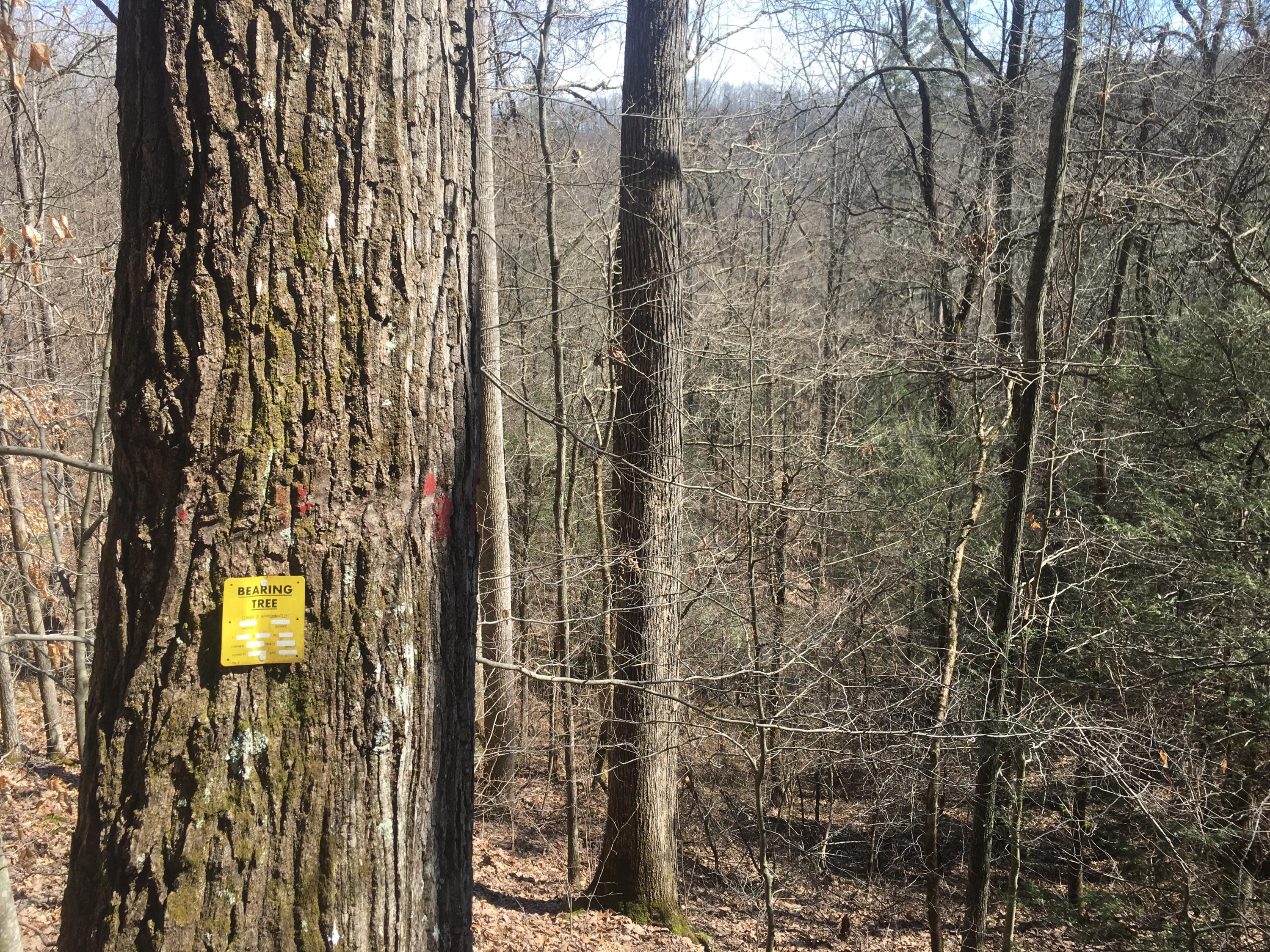 25-70 And Wolf Crk Road Del Rio, TN 37727 - Photo 19 of 20 pic 3