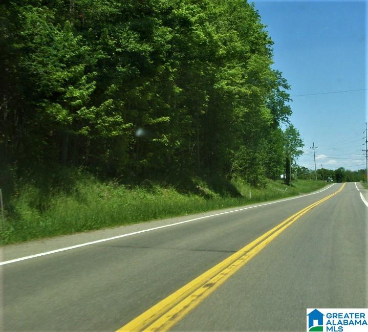 -mjhs Bone Dry Road, Unit 1 Kimberly, AL 35091 - Photo 2 of 4