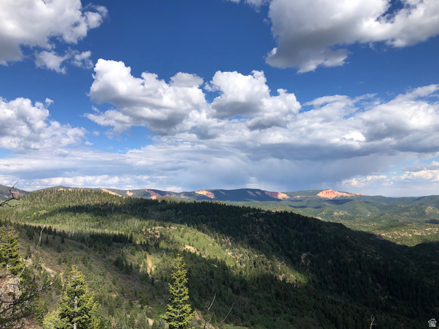 North Fork Road South Duck Creek Village, UT 84762 - Photo 14 of 17 View of mountain backdrop with a heavily wooded area