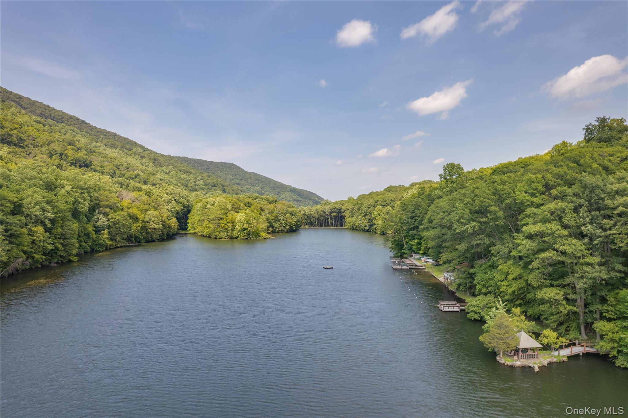 77 Lake Drive Cold Spring, NY 10516 - Photo 29 of 49 a view of a lake with a mountain in the back