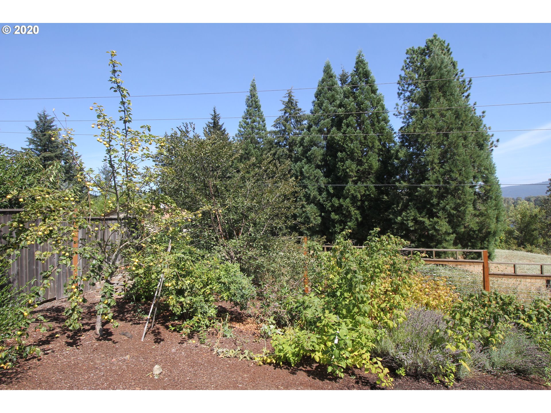 2185 37th Street Springfield, OR 97477 - Photo 32 of 32 Gallery Image 32