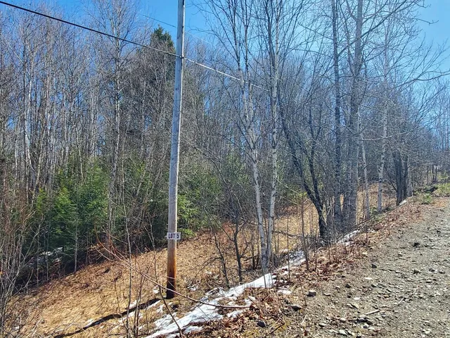 $29,900 | Lot#51 Indian Hill Lane, Frankfort, ME 04438