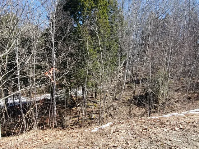$29,900 | Lot#51 Indian Hill Lane, Frankfort, ME 04438