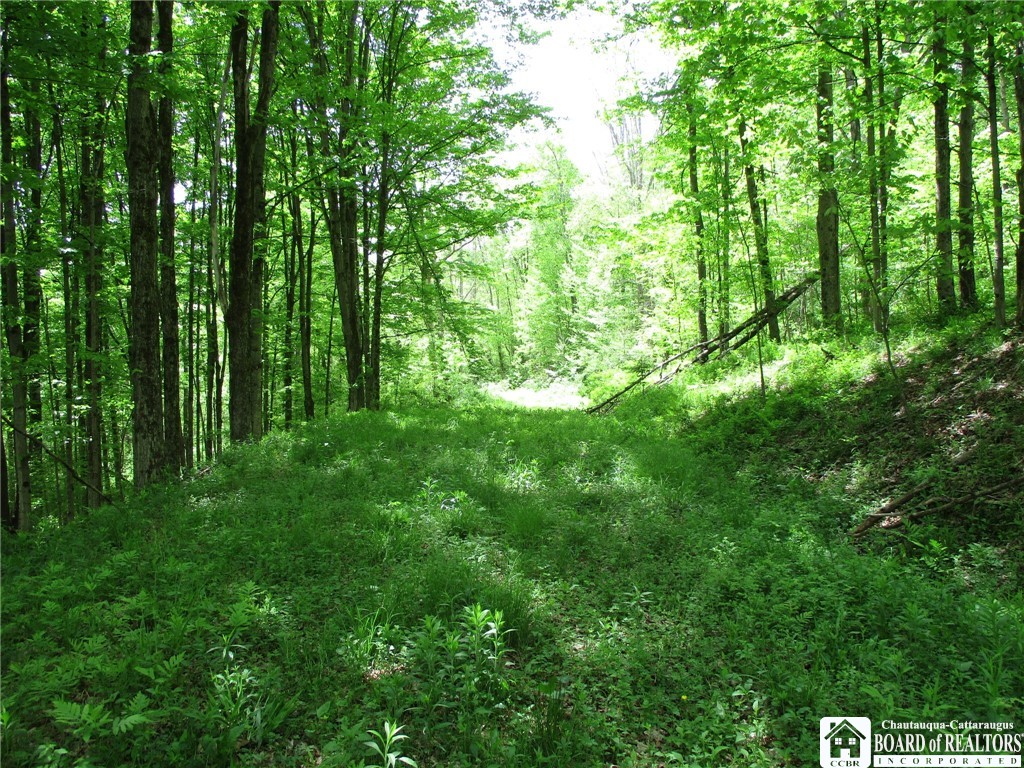 Yankee Road Cuba, NY 14727 - Photo 23 of 31