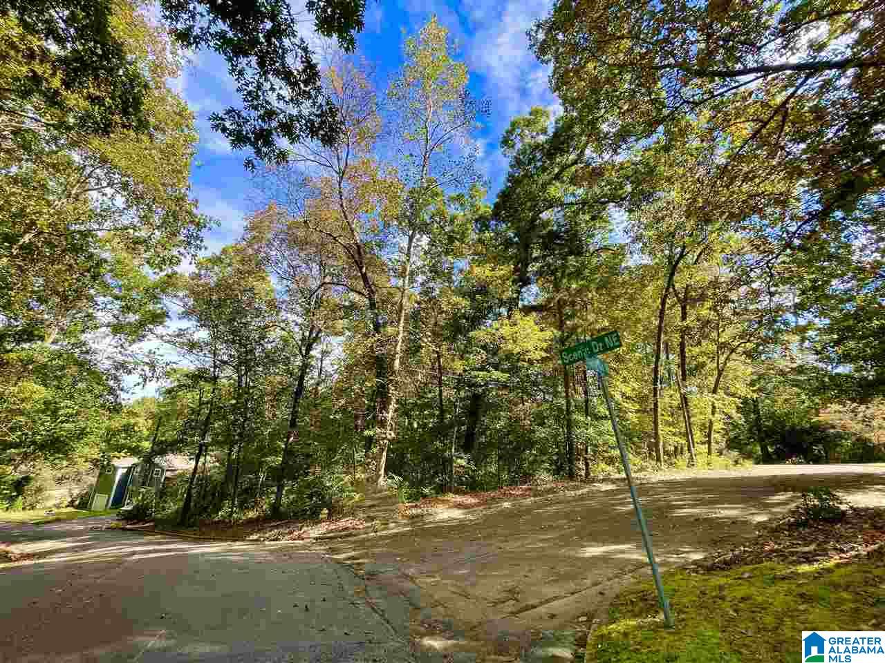 0 Shady Lane Cullman, AL 35055 - Photo 1 of 6