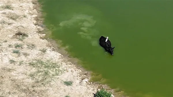 $675,000 | 1129 Rd Chatfield Tx 75105 Road, Chatfield, TX 75105